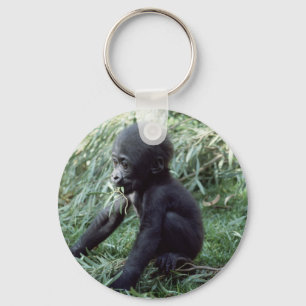 Wildlife Set - Primates 8 Key Ring