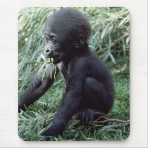 Wildlife Set - Primates 8 Mouse Mat