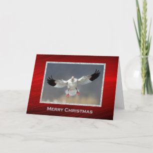 Wildlife Snow Goose Photo Christmas Holiday Card