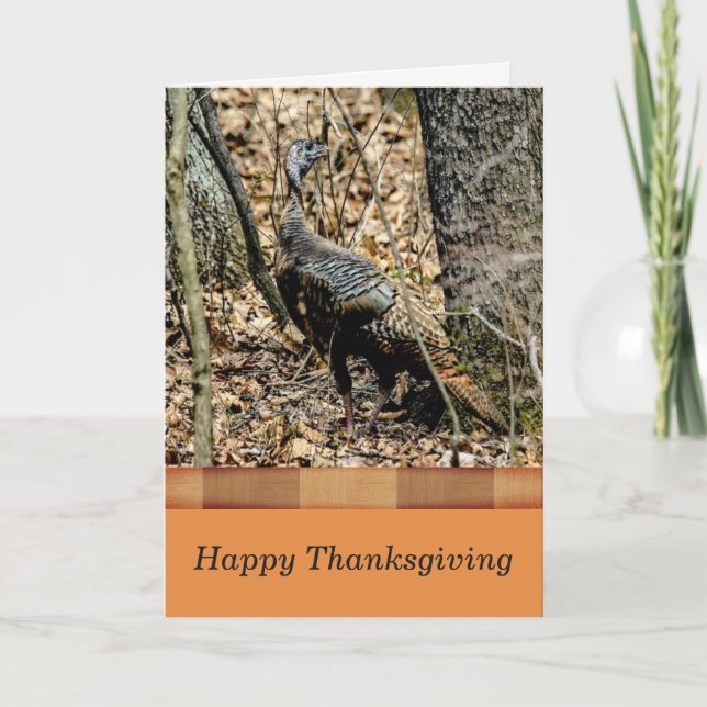 Wildlife Thanksgiving Card,  Turkey in the Forest Holiday Card (Front)