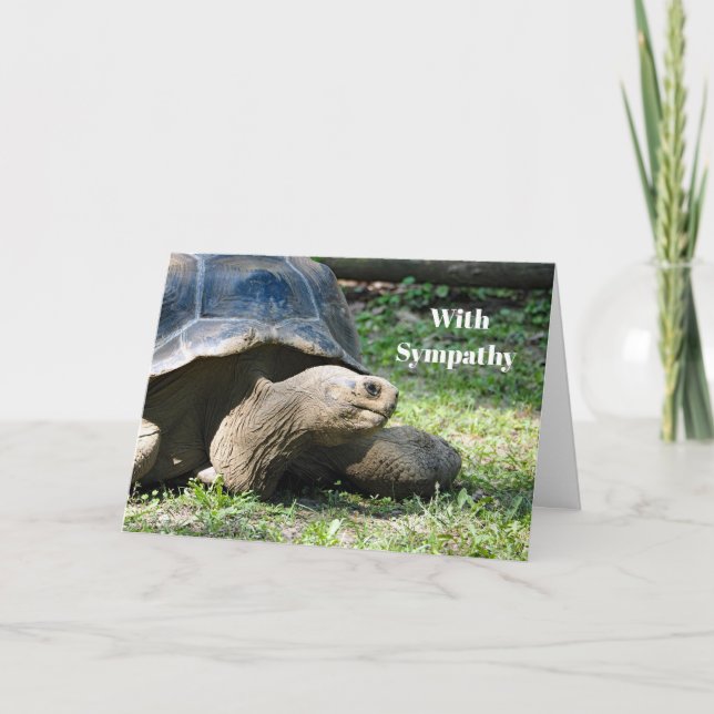 Wildlife Tortoise Photo Sympathy Card (Front)