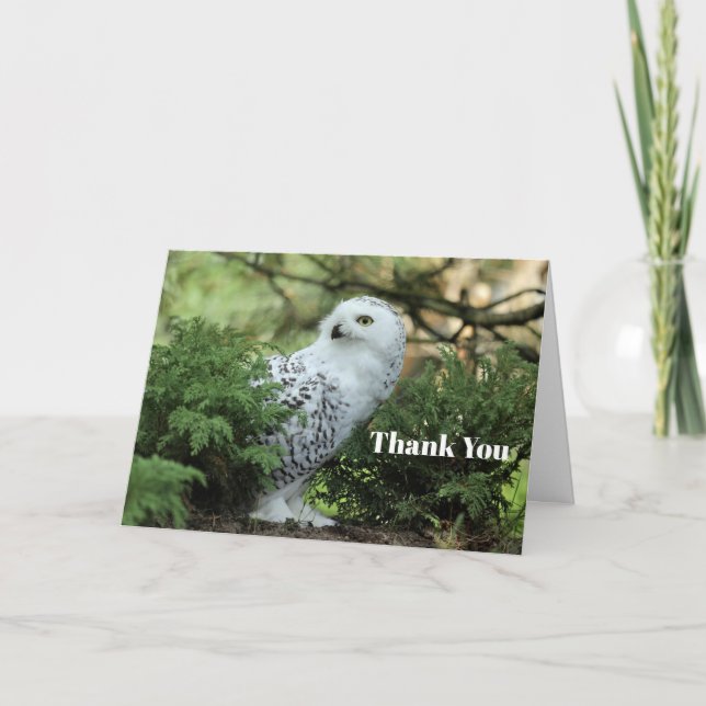 Wildlife White Owl Photo Thank You Card (Front)