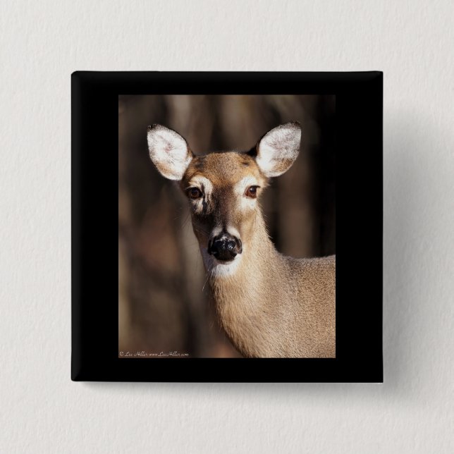 Wildlife Whitetail Deer Doe Portrait 15 Cm Square Badge (Front)