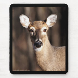 Wildlife Whitetail Deer Doe Portrait Mouse Mat
