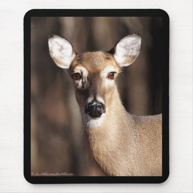 Wildlife Whitetail Deer Doe Portrait Mouse Mat (Front)