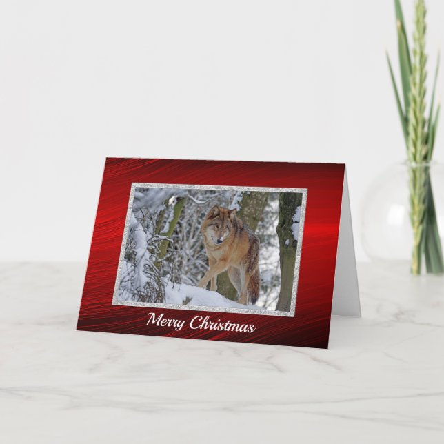 Wildlife Wolf Snow Photo Christmas Holiday Card (Front)