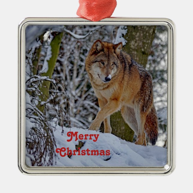 Wildlife Wolf Snow Photo Christmas Metal Tree Decoration (Front)