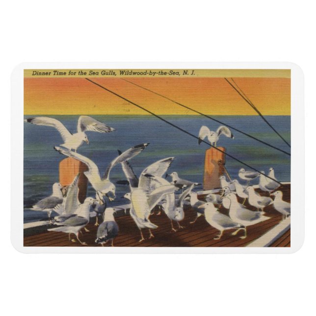 Wildwood NJ, Seagulls, Vintage Magnet (Horizontal)