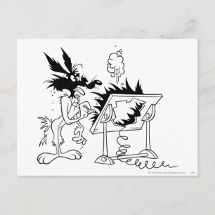 WILE E. COYOTE™ Acme Products 6 Postcard