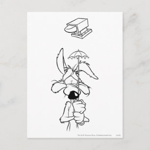 WILE E. COYOTE™ Acme Products Postcard