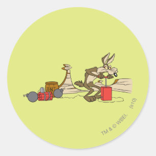 WILE E. COYOTE™ ACME TNT CLASSIC ROUND STICKER