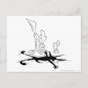 WILE E. COYOTE™ and ROAD RUNNER™ Acme Products 3 Postcard