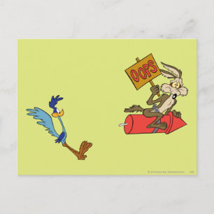 WILE E. COYOTE™ and ROAD RUNNER™ Acme Products 5 2 Postcard