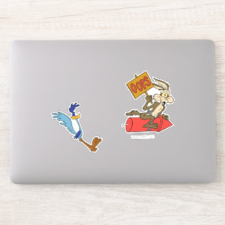 WILE E. COYOTE™ and ROAD RUNNER™ ACME Rocket
