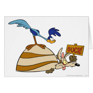WILE E. COYOTE™ and ROAD RUNNER™ Boulder