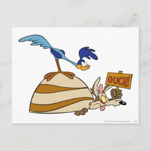 WILE E. COYOTE™ and ROAD RUNNER™ Boulder Postcard