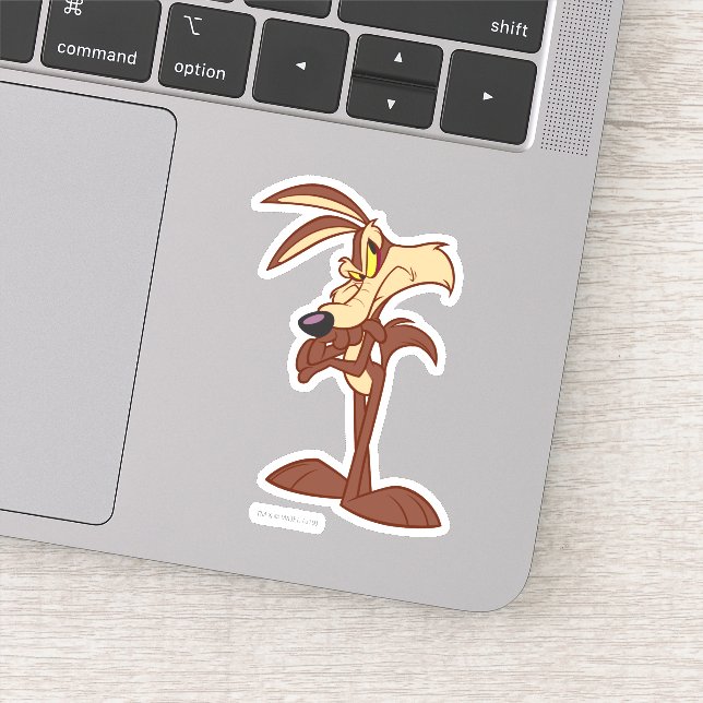 WILE E. COYOTE™ Arms Crossed (Detail)