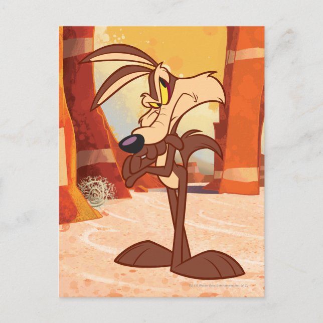 WILE E. COYOTE™ Arms Crossed Postcard (Front)