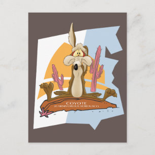 WILE E. COYOTE™ (Carnivorous Seriously) Postcard