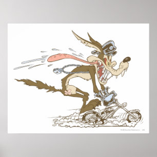 Wile E. Coyote Cycle Racer Poster