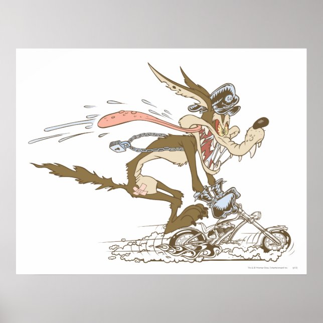 Wile E. Coyote Cycle Racer Poster (Front)