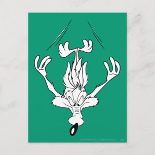 Wile E. Coyote Dive Bomb Postcard