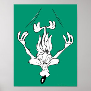Wile E. Coyote Dive Bomb Poster