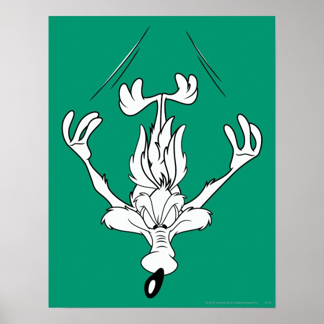 Wile E. Coyote Dive Bomb Poster (Front)