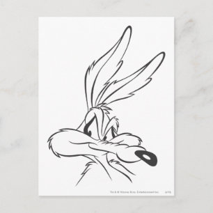 WILE E. COYOTE™ Expressive 7 Postcard