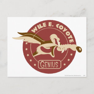 WILE E. COYOTE™ Genius Postcard