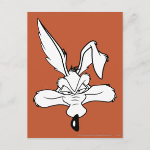 WILE E. COYOTE™ Happy Head Shot Postcard