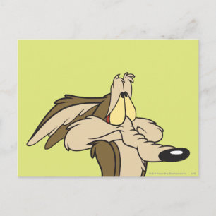 Wile E. Coyote Impending Doom Postcard