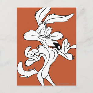 WILE E. COYOTE™ Looking Pleased Postcard
