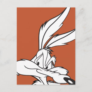 WILE E. COYOTE™ Looking sneaky Postcard