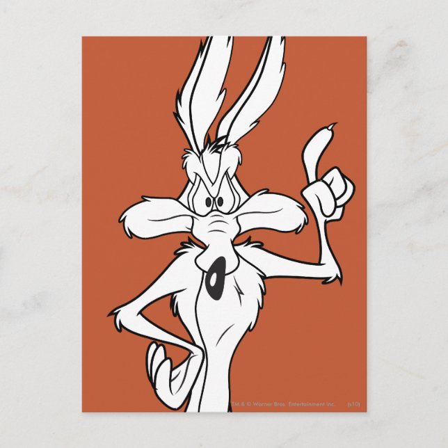 WILE E. COYOTE™ Making a Point Postcard (Front)