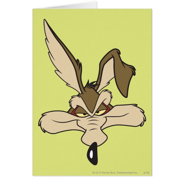 Wile E. Coyote Pleased Head Shot (Front)