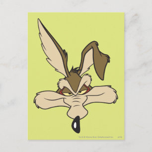 WILE E. COYOTE™ Pleased Head Shot Postcard