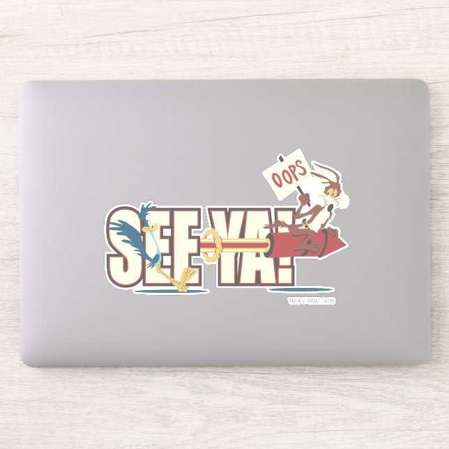 WILE E. COYOTE™ Rocketing Past ROAD RUNNER™ (Computer)