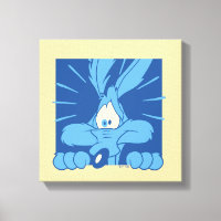 WILE E. COYOTE™ Shocked Expression