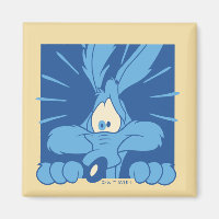 WILE E. COYOTE™ Shocked Expression