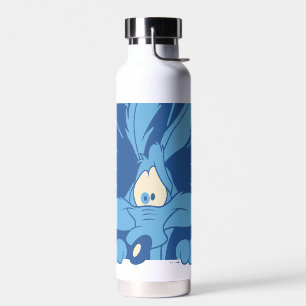 WILE E. COYOTE™ Shocked Expression Water Bottle