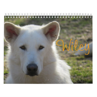 Wiley Calendar