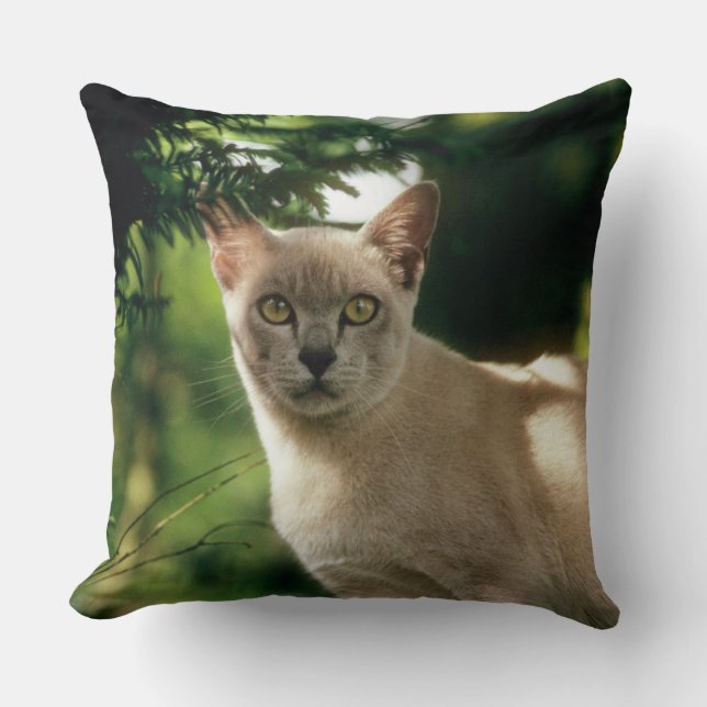 Wilham. Cushion (Front)