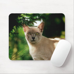 Wilham. Mouse Mat