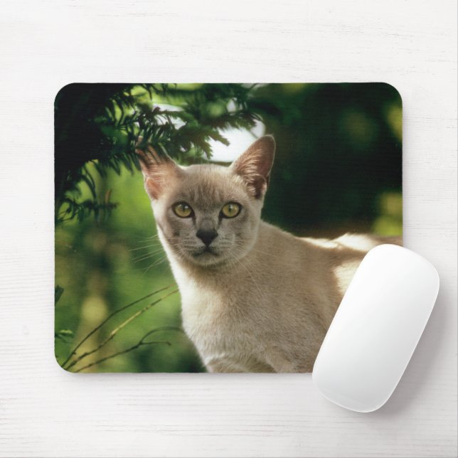 Wilham. Mouse Mat (With Mouse)