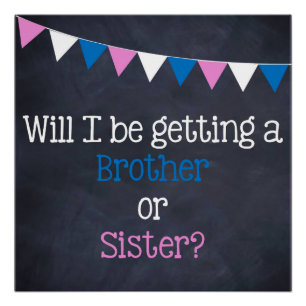 Will I be getting a brother sister gender reveal Poster