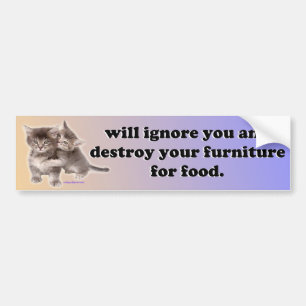 will ignore you bumper sticker