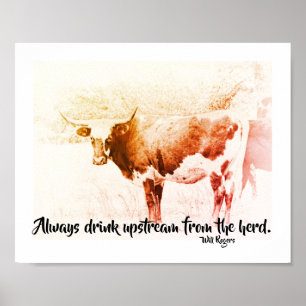 Will Rogers famous quote on cow photo art Poster