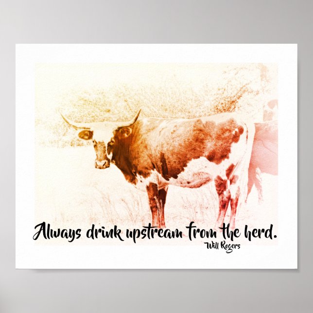 Will Rogers famous quote on cow photo art Poster (Front)