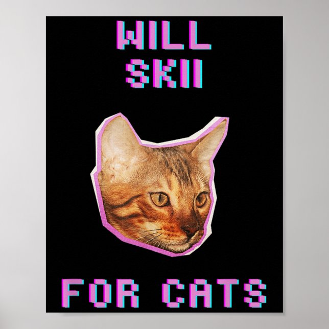 Will Skiing For Cats Funny Winter Snow Adventure  Poster (Front)